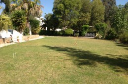 garden-and-steps-to-pool