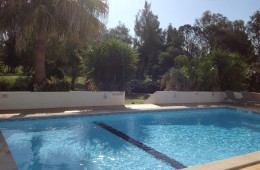 pool-view-from-downstairs-blue-room
